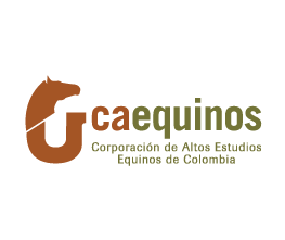 caequinos